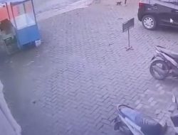 Pelaku Tendang ‘Maut’ Yang Tewaskan Anak Kucing Diduga Idap Gangguan Kejiwaan