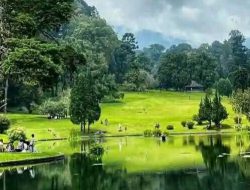 Pesona Kebun Raya Cibodas Cianjur Yang Jarang Di Ketahui