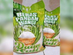Jelang Lebaran Berikut Tips Mengolah Beras Pandan Wangi Jadi Lebih Enak