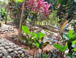 Hari Raya 1446 H,Warga Cianjur Sukaluyu Cianjur Gelar Ziarah Kubur
