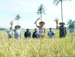Presiden Prabowo Subianto Laksanakan Panem Raya Serentak Di 14 provinsi Bupati Cianjur Ikut Daring