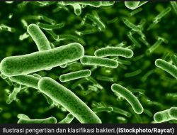 Bakteri Yang Di Temukan Pada Sampel Makanan Dan Muntahan Di temukan Dalam Keracunan MBG Gratis Di Cianjur Ada 2 Jenis