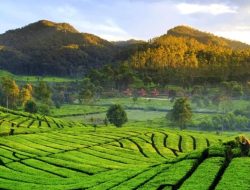 Paradoks Lanskap Jawa Barat Dan Keindahan Yang Terlupakan
