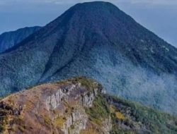 Tetap Waspada 17 Jalur Pendakian Gunung Gede Pangrango Yang Cukup Berbahaya